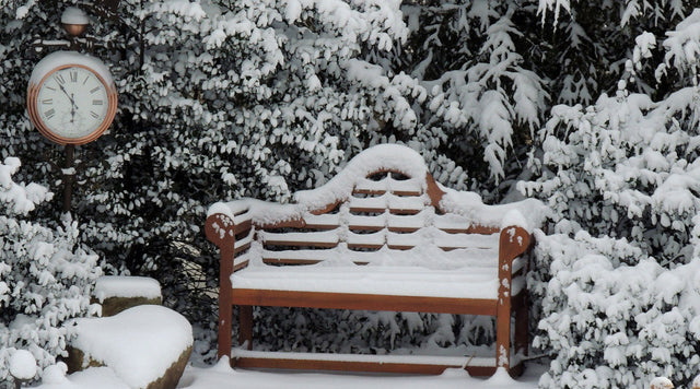 winter garden scene