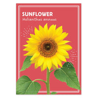 Bulk Single Species Seed Packets