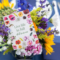 Bulk Bestselling Seed Packets