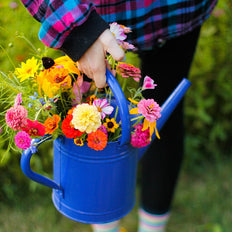 Wildflowers For Cut Flower Bouquets