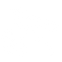bird icon