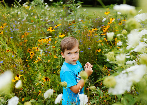 Regional Wildflower Seeds