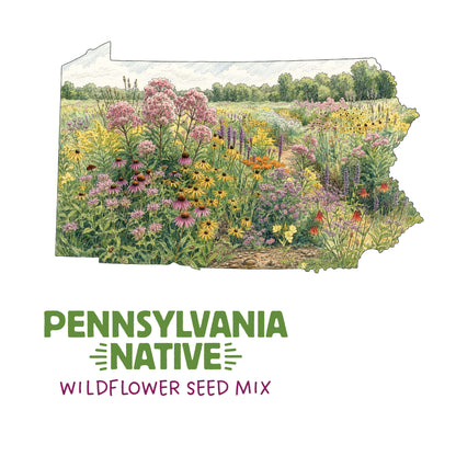 Pennsylvania Native Wildflower Seed Mix