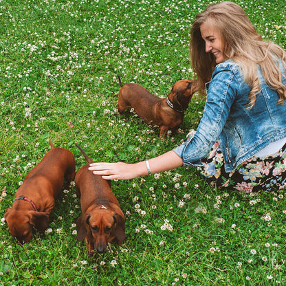 Pet Paradise Lawn Seed Mix