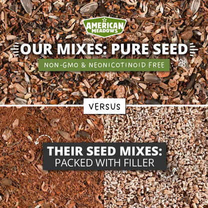 Spring Into Summer Seasonal Wildflower Seed Mix