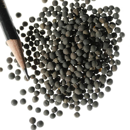 Hairy Vetch Seeds