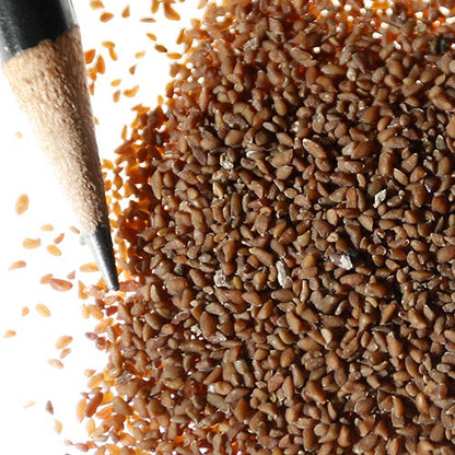 Globe Gilia Seeds