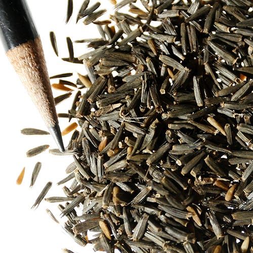 Blazing Star Seeds
