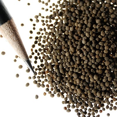 Purple Gleam California Poppy Seeds
