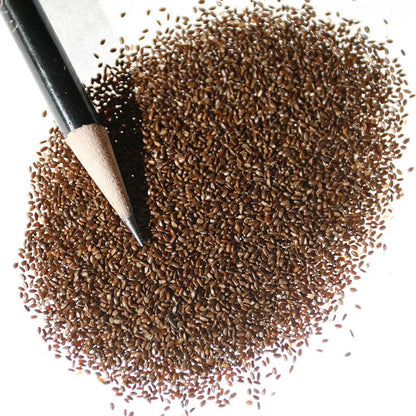 Lemon Mint Seeds