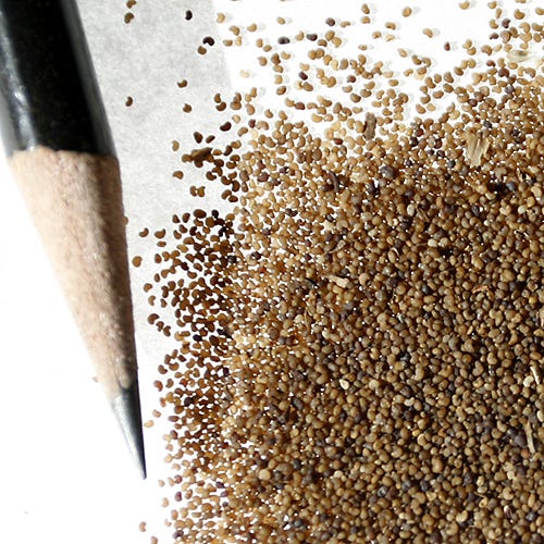 Red Poppy Seed Mix