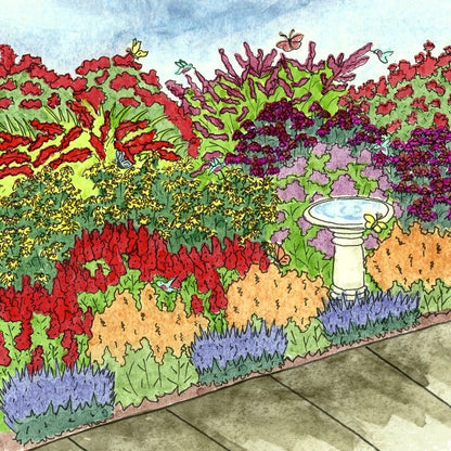 Butterfly & Hummingbird Pre-Planned Garden