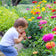 California Giants Zinnia Seeds