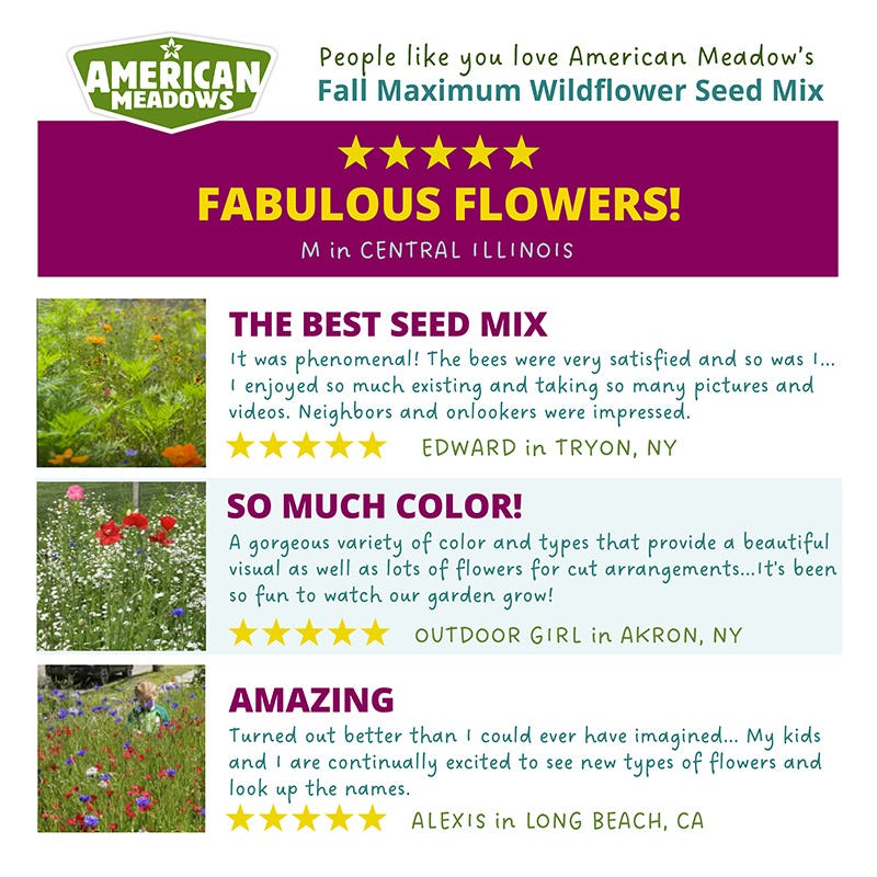 Fall Maximum Wildflower Seed Mix