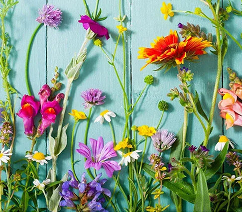 Meadowscaping Planting Guides