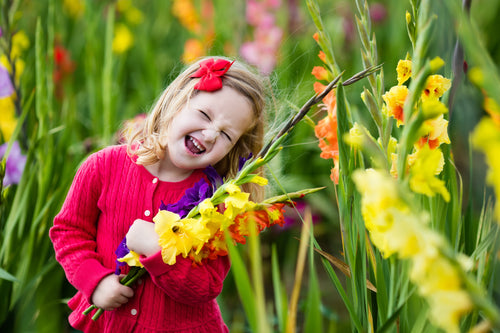 Flower Bulb Planting Guides
