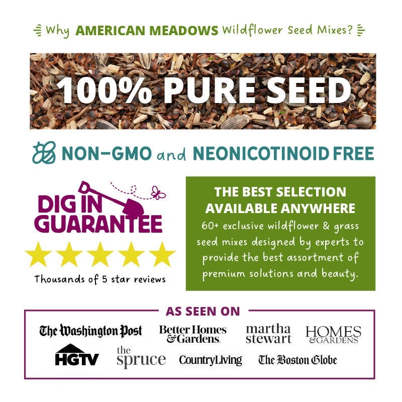 Wisconsin Select Wildflower Seed Mix