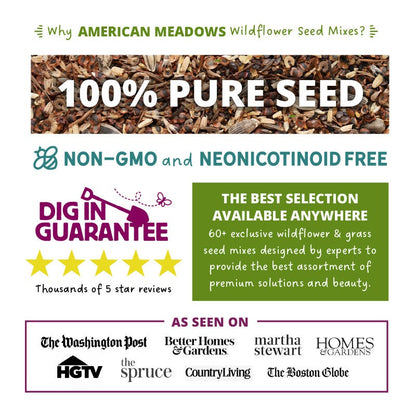 Native Northeast Wildflower Seed Mix